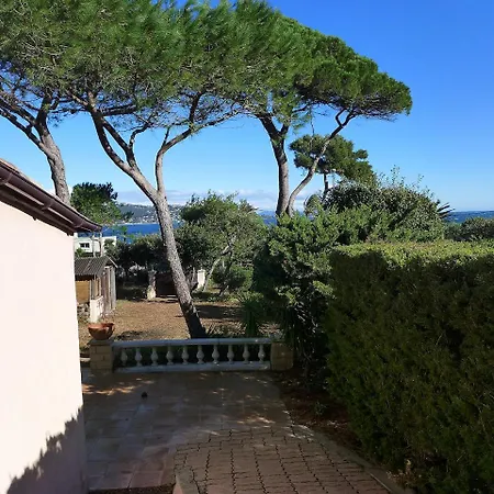 Les Pins *